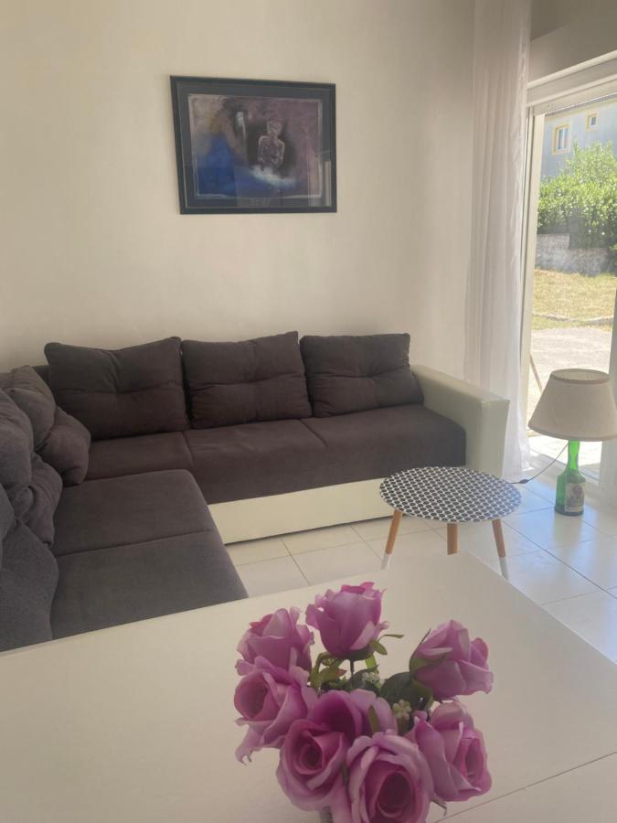 Apartments Tepavac نوفي فينودولسكي المظهر الخارجي الصورة