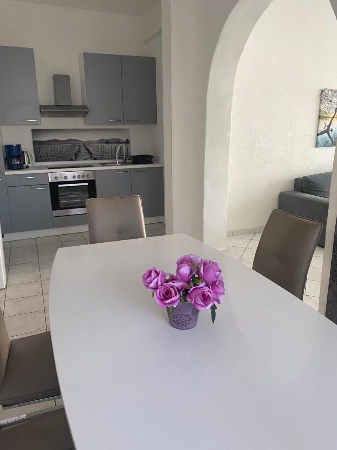 Apartments Tepavac نوفي فينودولسكي المظهر الخارجي الصورة